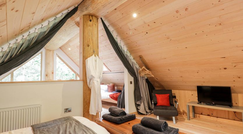 Photo of Woodland Serenity