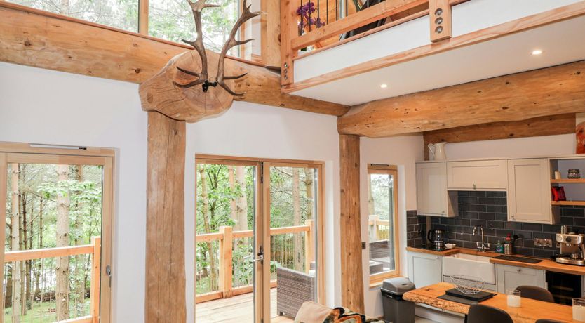 Photo of Woodland Serenity