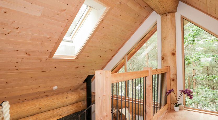 Photo of Woodland Serenity