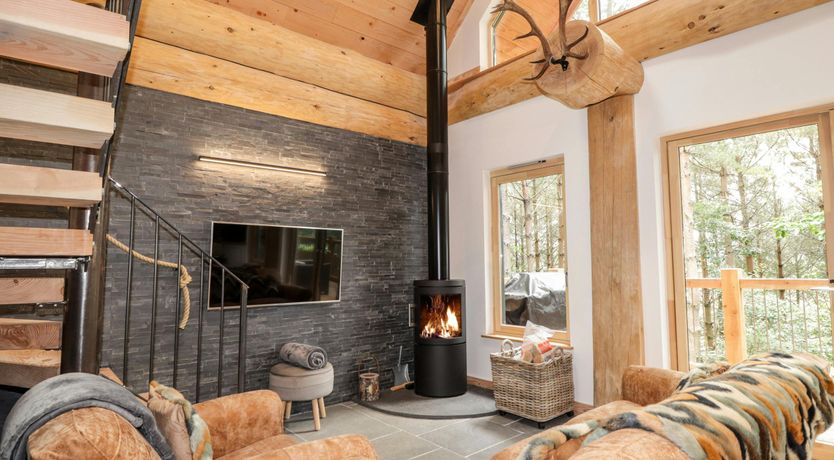 Photo of Woodland Serenity