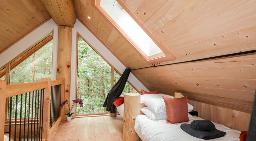 Photo of Woodland Serenity