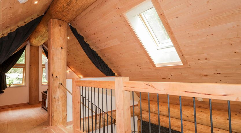 Photo of Woodland Serenity