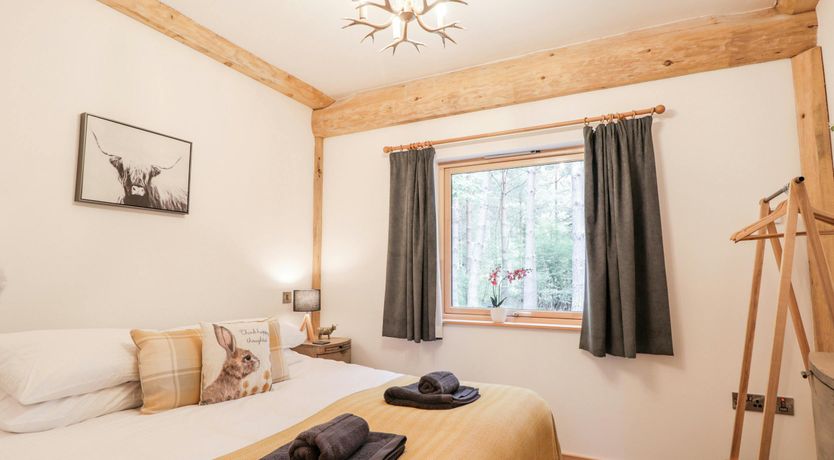 Photo of Woodland Serenity