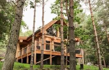 Woodland Serenity Holiday Home