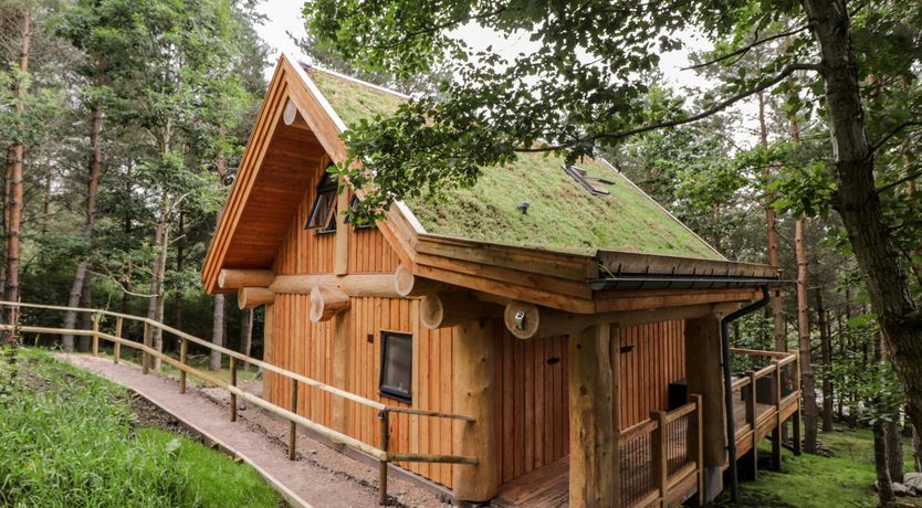 Photo of Woodland Serenity