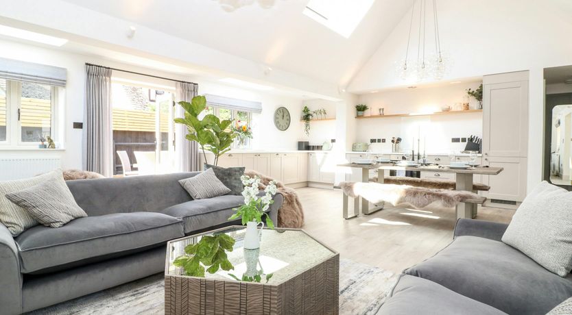 Photo of Light of Lavender