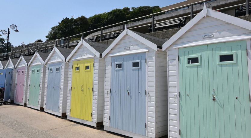 Photo of Wisteria Waves