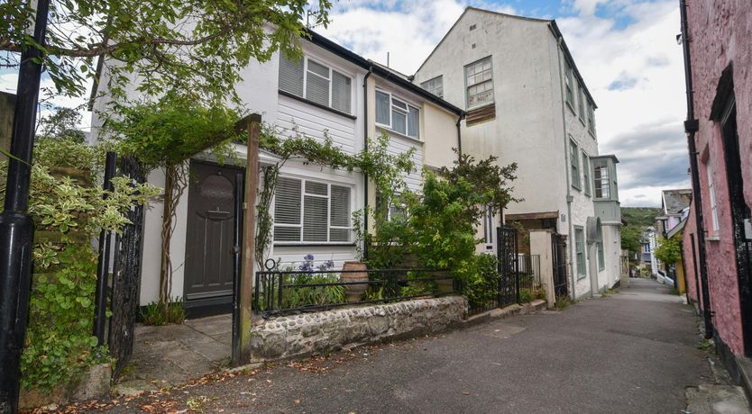 Photo of Wisteria Waves