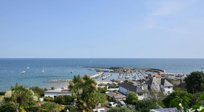 Photo of Wisteria Waves