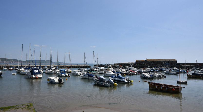 Photo of Wisteria Waves