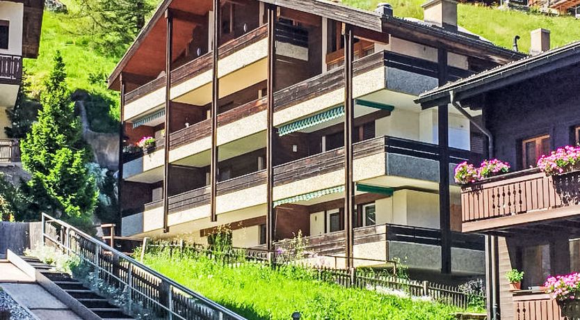 Photo of Zen Stecken A