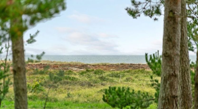 Photo of "Matta" - 800m from the sea