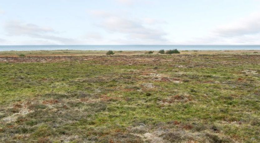 Photo of "Matta" - 800m from the sea