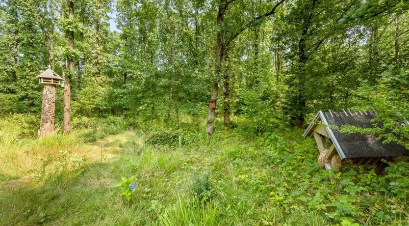 Photo of "Lenya" - 33km from the sea