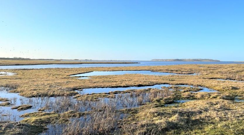 Photo of "Dufa" - 200m to the fjord