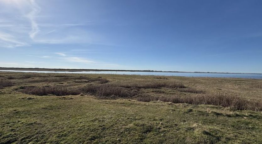 Photo of "Dufa" - 200m to the fjord