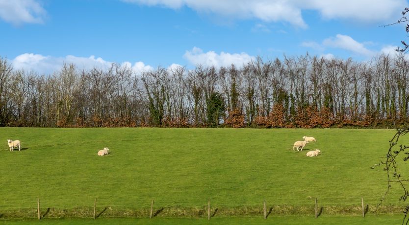 Photo of Foxgloves Hut, Brompton Regis