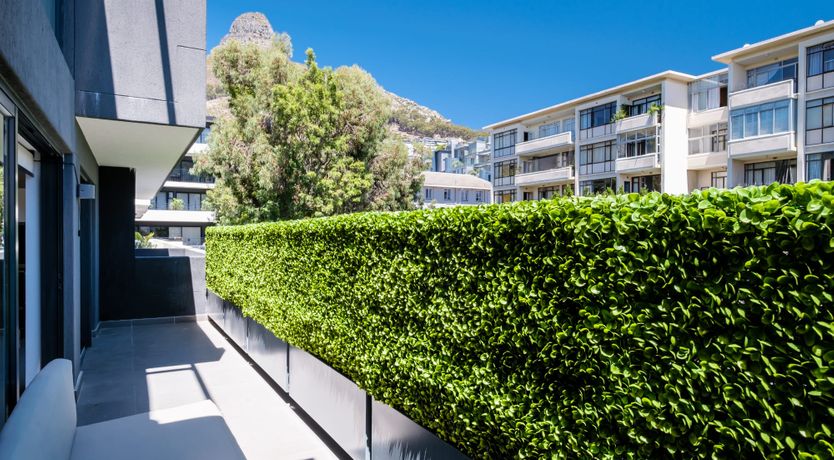 Photo of The Dream Weaver