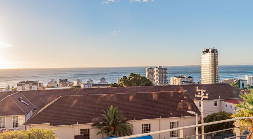 Photo of Lion Sunsets