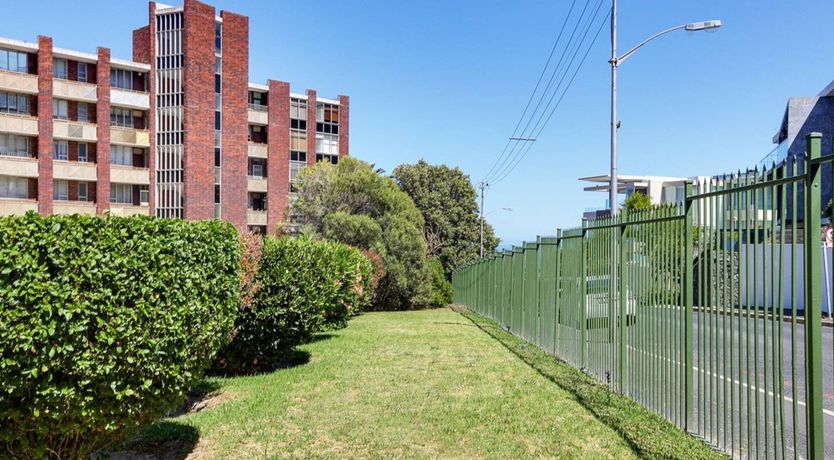 Photo of The Dandelion Clock