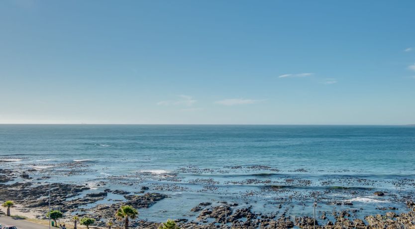 Photo of Seafoam Pearl