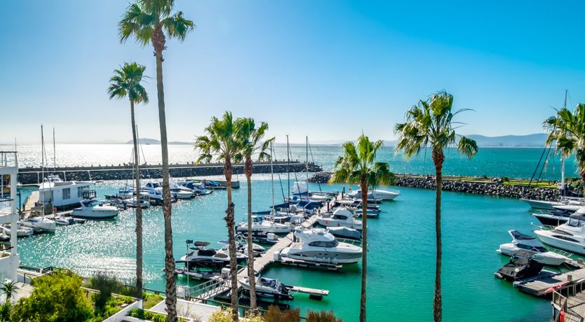 Photo of Turquoise Wonders