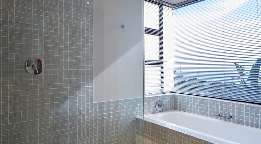 Photo of Coastline Curves