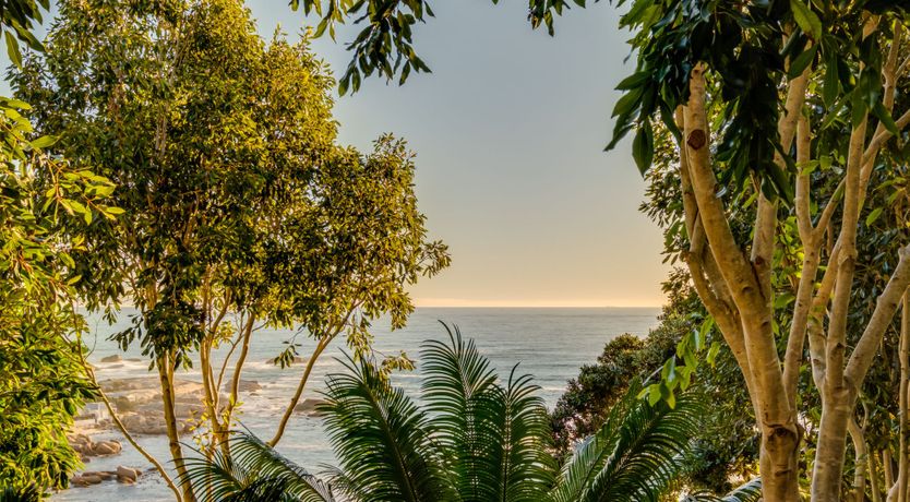 Photo of Tropical Arcadia