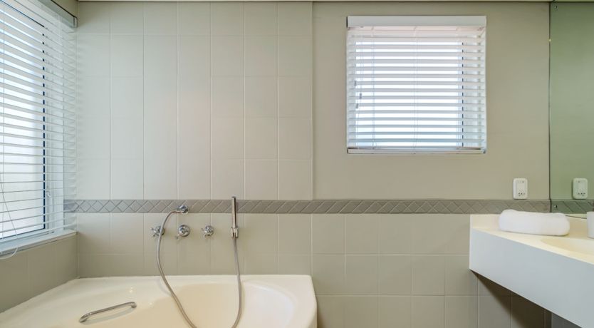 Photo of Gingko & Gazania