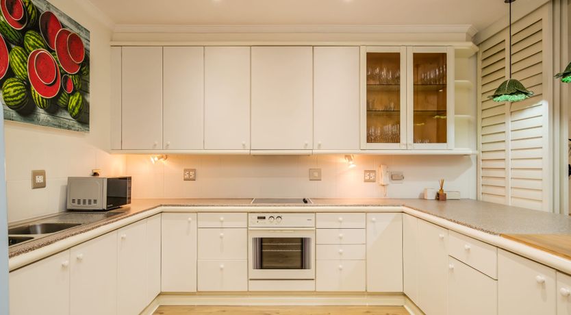 Photo of Gingko & Gazania