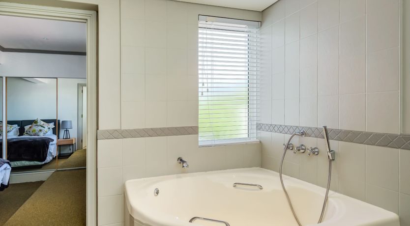 Photo of Gingko & Gazania