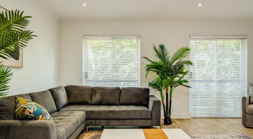 Photo of Gingko & Gazania