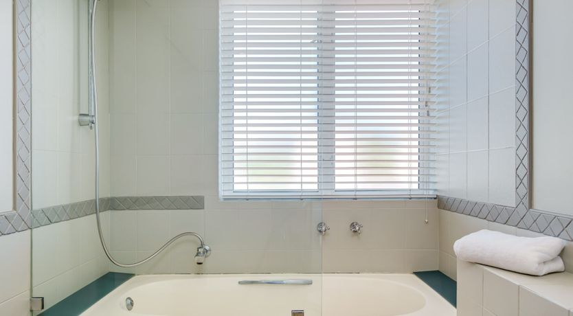 Photo of Gingko & Gazania