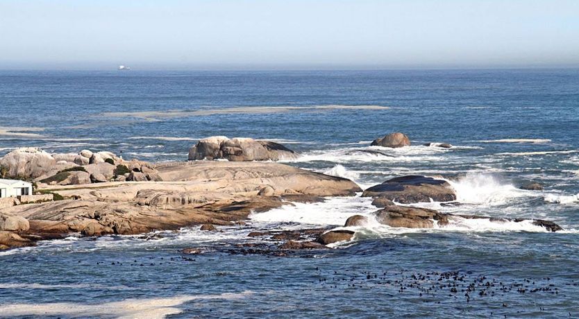 Photo of Bali Bay Vistas