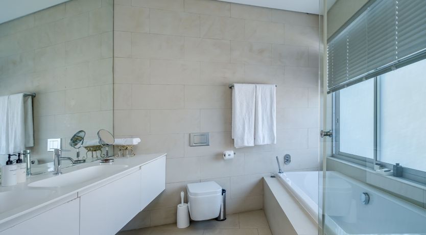 Photo of The Mountain in the Sea