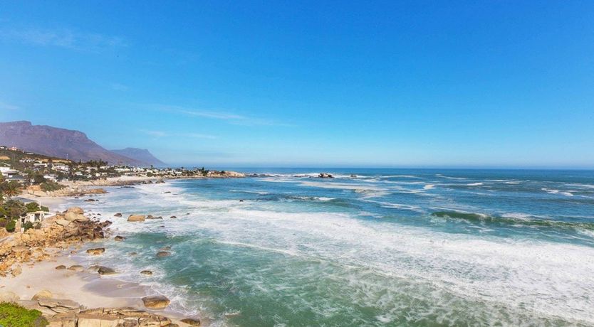 Photo of The Barberton Daisy