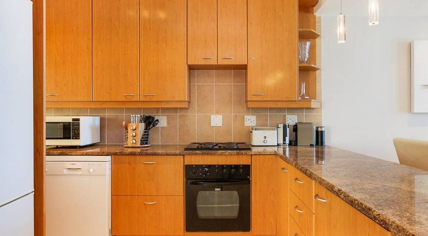 Photo of The Barberton Daisy