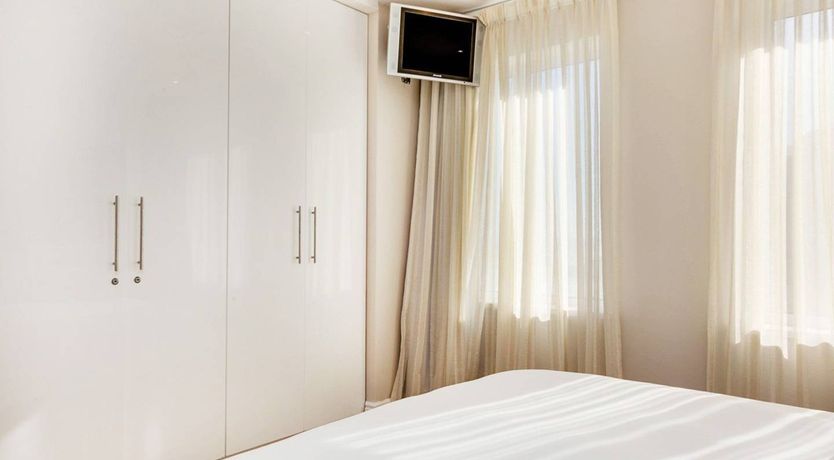 Photo of The Barberton Daisy