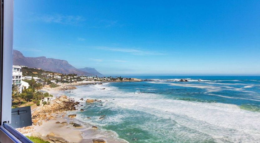 Photo of The Barberton Daisy