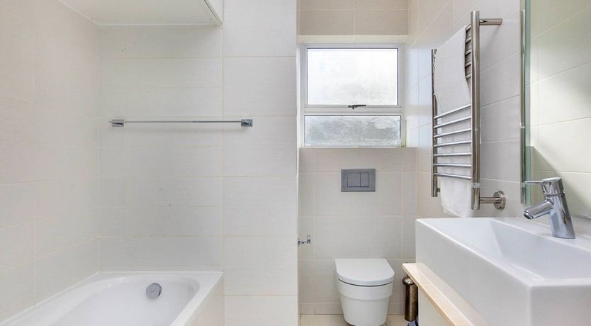 Photo of The Barberton Daisy