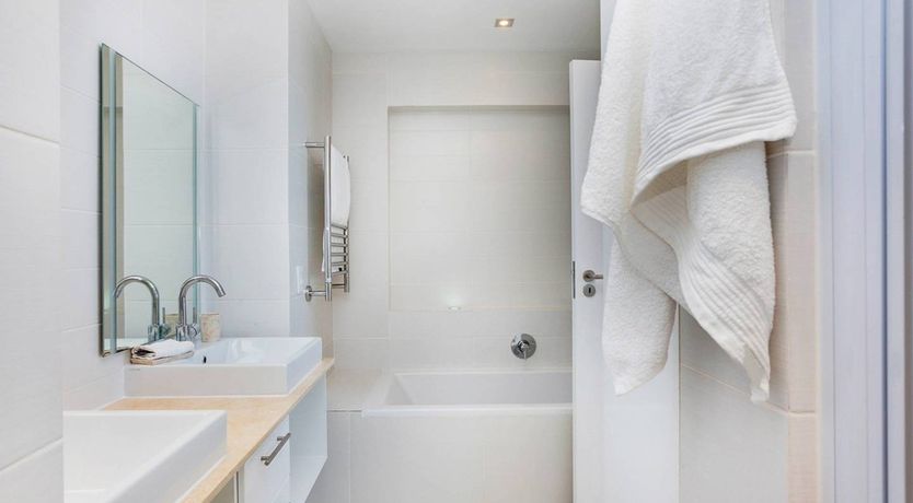 Photo of The Barberton Daisy