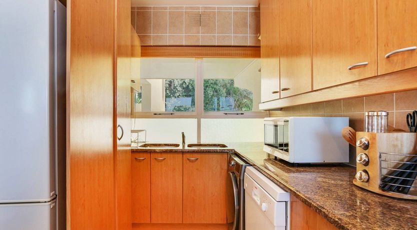 Photo of The Barberton Daisy