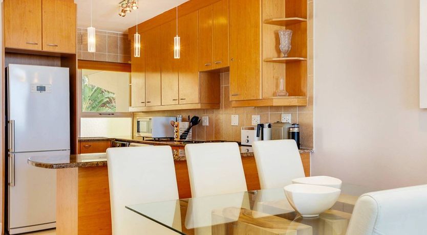 Photo of The Barberton Daisy