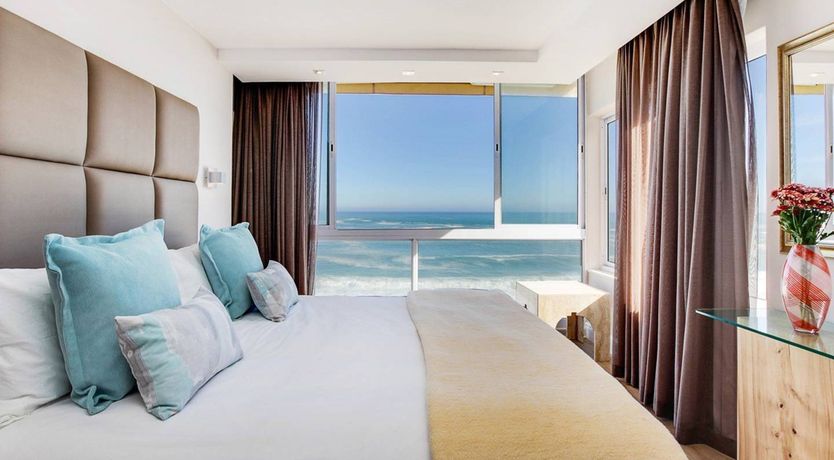 Photo of The Barberton Daisy