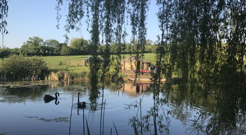 Photo of The Magic of Living