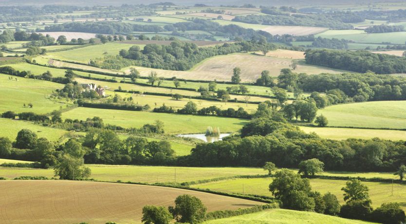 Photo of The Magic of Living