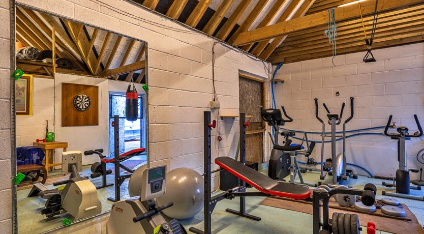 Photo of The Magic of Living