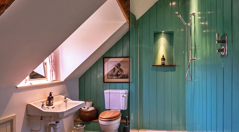 Photo of The Magic of Living