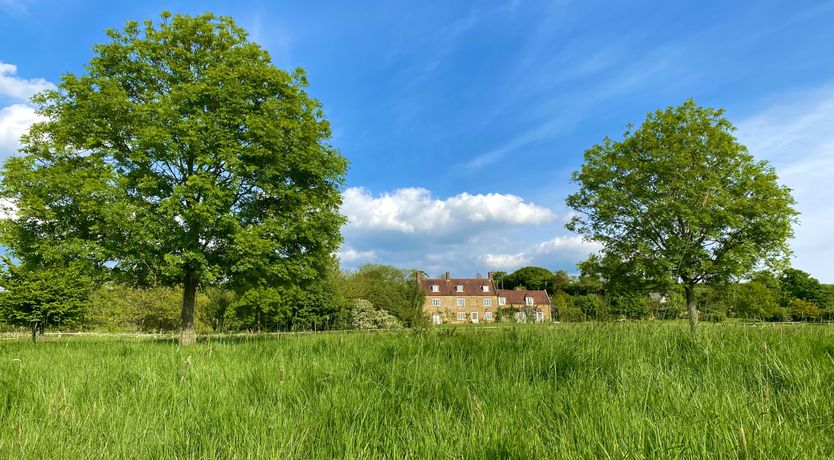 Photo of The Magic of Living