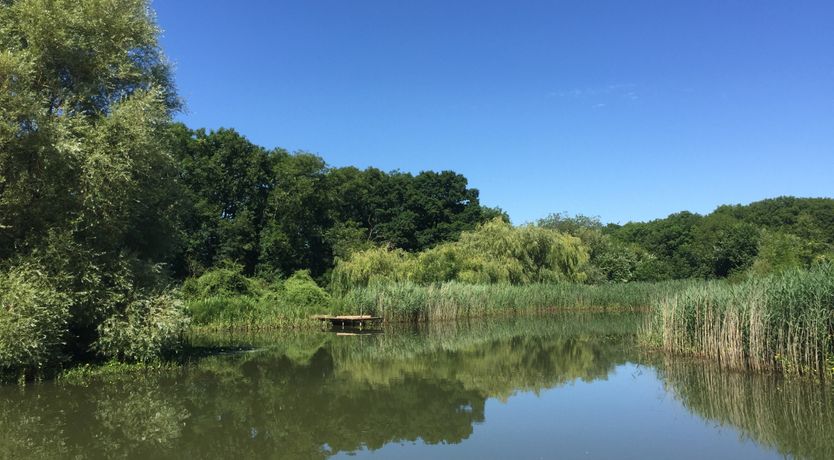 Photo of The Magic of Living